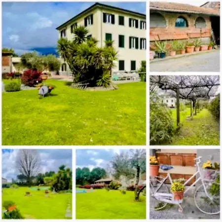 Aia Di Beppe Lucca